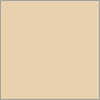 desert tan color swatch